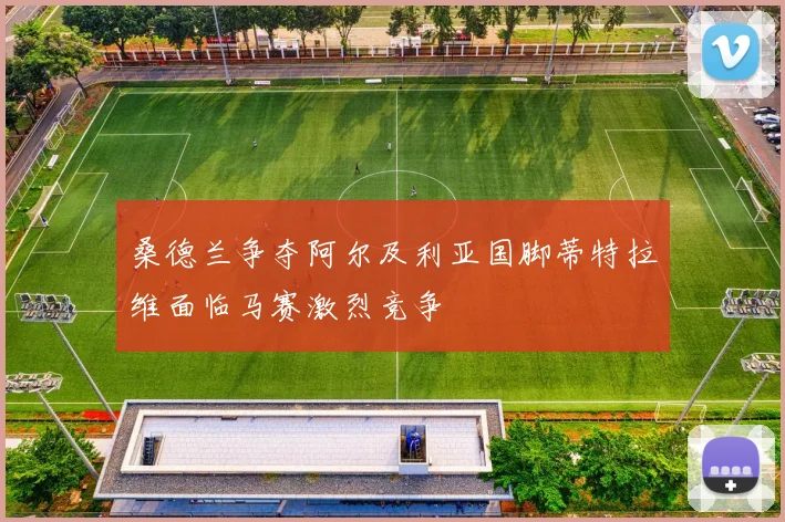 桑德兰争夺阿尔及利亚国脚蒂特拉维面临马赛激烈竞争