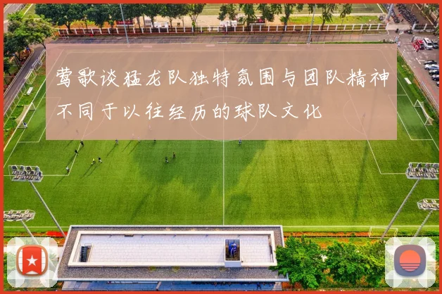 莺歌谈猛龙队独特氛围与团队精神不同于以往经历的球队文化